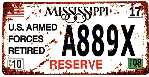 DiiliHiiri US-Auto-Nummernschild, Replikation, amerikanisches Vintage-Schild, Retro-Dekoration für Bar, Pub, Café, Höhle für Männer, Garage oder Werkstatt, 15 x 30 cm, Poster (2651-27)