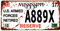 DiiliHiiri US-Auto-Nummernschild, Replikation, amerikanisches Vintage-Schild, Retro-Dekoration für Bar, Pub, Café, Höhle für Männer, Garage oder Werkstatt, 15 x 30 cm, Poster (2651-27)