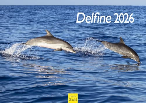 Edition Seidel Premium Kalender Delfine 2026 Format DIN A3 Wandkalender Tierkalender Delfin Wale Orcas Säugetiere Meer Ozean