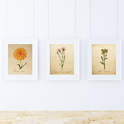 Air Poster gerahmt, Poster, Botanic, Heimdekoration, gerahmt, mit Rahmen