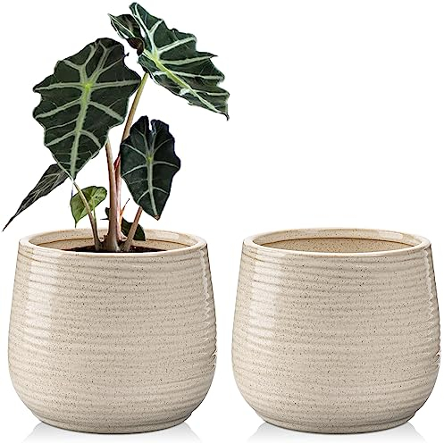 Oairse Juego de 2 macetas de cerámica para interiores de 4.7 pulgadas/12 cm, macetas de cerámica con agujeros de drenaje, macetas decorativas de jardín azul para plantas suculentas de cactus de casa