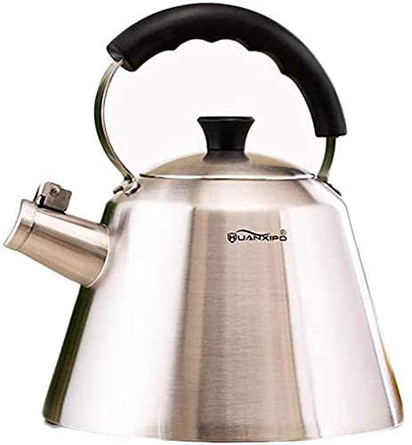 WXJLYZRCXK Bollitori Teiera, Teiera Superiore in Acciaio Inossidabile con Fischietto, Bollitore (Argento) Ultimi Modelli, Bollitore Multifunzione,3L,3L