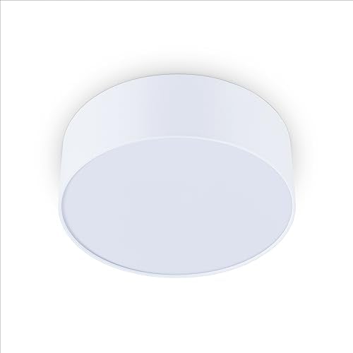 Paco Home Deckenlampe LED Lampe Esstisch Deko Wohnzimmer Modern Deckenleuchte Büro Rund Lampenschirm Stoff Fassung E27, Farbe:Weiß, Leuchtenform__Größe:Ø30cm