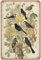 Geroclonup Vintage-Stil, Vogeldruck, Amsel-Poster, Landhaus-Wandkunst, Weißdorn-Druck, Metall-Blechschild, Wanddekoration, Männerhöhle, Bar, Heimdekoration, lustiges Schild, 20 x 30 cm
