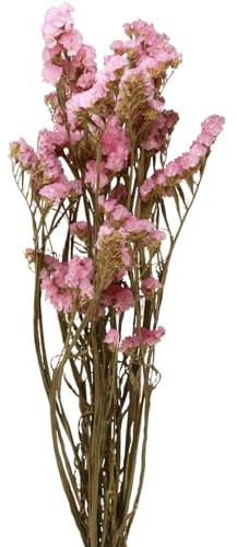 Strandflieder Rosa Limonium Trockenblumen 60cm 50g - Deko, Hochzeit, Sommerdeko