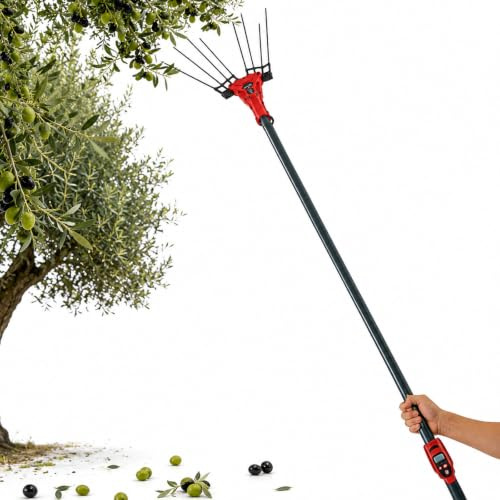 lilishangmao Raccoglitore Olive Macchina, Abbacchiatore Olive Elettrico con Asta Telescopica Regolabile, Potenza 250W/600W, 6 Livelli E Display LED per Olive, caffè E Noci 250W-ToolOnly