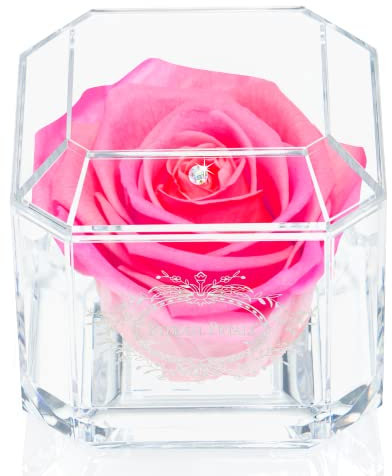 A 100% Real Rose That Lasts Years - Eternal Petals, Handmade in UK – White Gold Solo with A Multicolor Crystal (Double Pink)