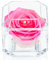 A 100% Real Rose That Lasts Years - Eternal Petals, Handmade in UK – White Gold Solo with A Multicolor Crystal (Double Pink)
