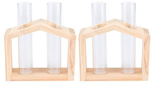 Fyearfly Vases de Plantes hydroponiques, Terrarium de Plante de Vase de Tube à essai en Verre de Double Bouteille pour la décoration de Jardin de Maison de Plantes hydroponiques
