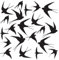 Schwalben-Fensteraufkleber zur Verhinderung von Vogelschlägen, kollisionssichere Fensteraufkleber, verhindern, dass Vögel in Fenster fliegen, 21 Stück (Black)
