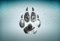 Akachafactory Adesivo per auto, moto, tuning, lupo, biker, tte de zampe, immagine r1