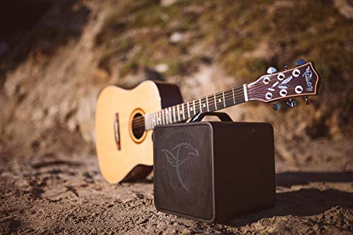 FALKEN1 Traveller BK Akku Akustikverstärker