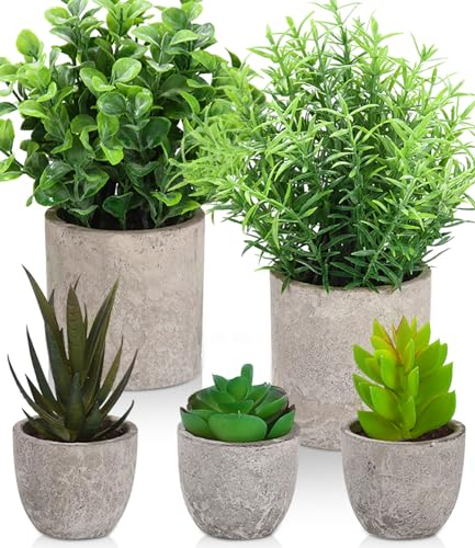 SOBEAU Plantes Topiaires Artificielles et Fleurs 5 Pcs,Plantes Succulentes Artificielles Vertes,Petite Plante Artificielles Succulentes en Plastique pour Maison Salle de Bain Bureaux Table Décoration