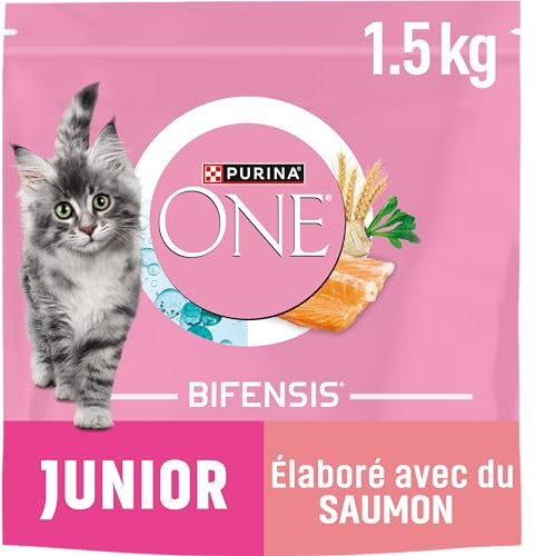 PURINA ONE | BIFENSIS | Kätzchen bis zu 12 Monate und Katzen in der Schwangerschaft | Trockenfutter | hilft bei der gesunden Entwicklung der Vitalfunktionen der Katze | Lachs | Beutel | 1,5 kg