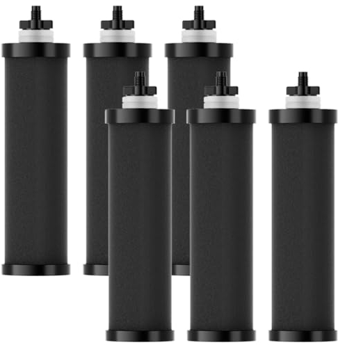 Filtre à eau de rechange compatible avec Berkey Big, Light, Imperial, Travel Series