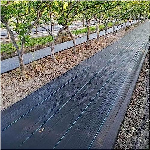 SAFWELAU Géotextile gravier Toile de Paillage Anti Mauvaises Herbes 0,4 M / 0,6 m / 1 M / 1,2 M / 1,5 m de large, Tissu désherbage lourd, Le sol est couvert Pour machine de pavage de parterre de fleur