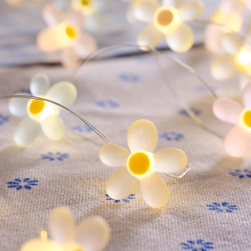 ALEGRE® Lichterkette Blumen Batterie, 2M 20 LED Blumen Lichterkette Gänseblümchen, Micro Kupferdraht Gänseblümchen Lichterketten Innen, Warmweiß Fairy Lights für Garten,Hochzeit,Terrasse Deko Frühling