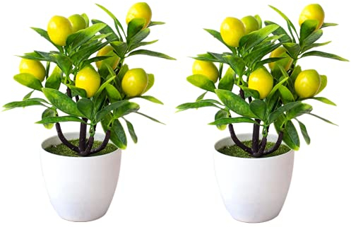 ZXCFTG Lot de 2 citronniers artificiels en pot pour bureau, maison, bureau, décoration de Noël