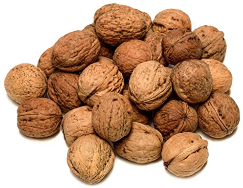 IGART FOOD & WOOD Walnüsse in der Schale Gewaschen Kalibriert Getrocknet Aus Polen Neue Ernte Reich an Omega-3 Ballaststoffen, 20kg