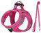 Hundegeschirr Kleine Hunde Rose Gepolstert, Welpengeschirr, Dog Harness Geschirr Hunde Klein S