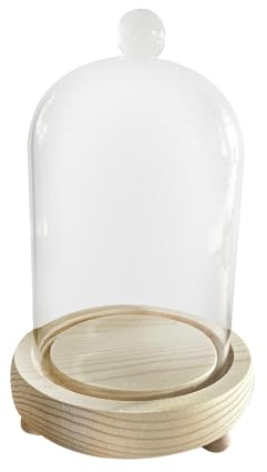 Ronyme Cloches en Verre Transparent, Cloche Dôme Décorative avec Socle en Bois pour Lumières, Décorations de Table, 10x16cm