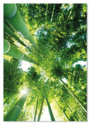 PICSonPAPER Poster Green Bamboo, sans cadre, format DIN A4, décoration murale, impression artistique, impression d'art (bambou, format DIN A4)