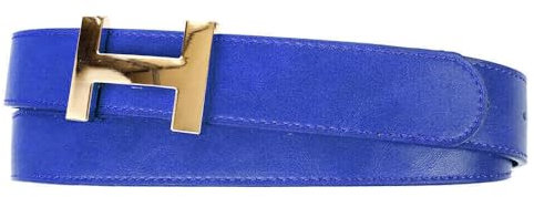Zakatte • Damen Gürtel aus Kunstleder mit H-Schnalle Hüftgürtel Taillengürtel Damengürtel BS058 (Royalblau-Gold, 90 cm)
