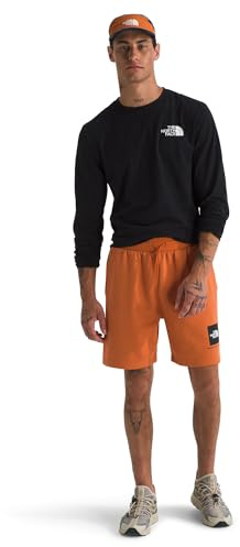 The North Face Herren Shorts Box NSE Regular