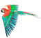 Metal Earth Fascinations ICX118 Metallbausätze -Vogel Ara Papagei Parrot, lasergeschnittener 3D-Konstruktionsbausatz, 3D Metall Puzzle, DIY Modellbausatz mit 3 Metallplatinen, ab 14 Jahre