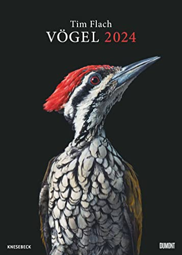 Tim Flach: Vögel 2024 – Posterkalender von DUMONT– Vogel-Porträts von Tim Flach – Poster-Format 50 x 70 cm
