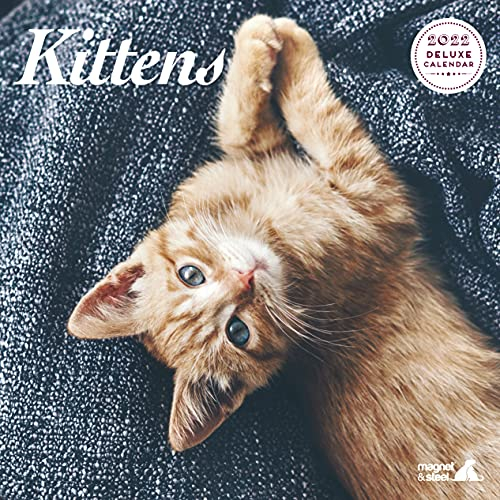 Kitten Deluxe Kalender 2022