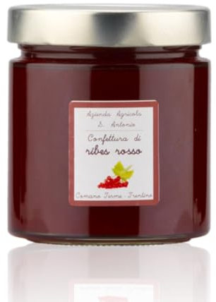 Confettura di Ribes Rosso 410 g | Azienda Agricola S. Antonio