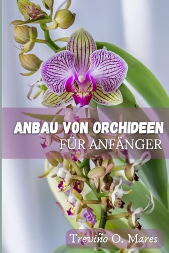 ANBAU VON ORCHIDEEN FÜR ANFÄNGER: Ein umfassender Leitfaden für die Kultivierung einer blühenden Pflanze