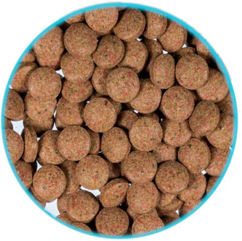 500 ml - 1,4 L (350 g - 1 KG) Bodentabletten FD Futtertabletten Welsfutter Garnelenfutter Fischfutter für bodenfressende Fische und Garnelen (1,4 Liter / 1 kg)