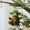 Christbaumschmuck Weihnachtsanhänger Acryl Schwein Flach Auto Anhänger Weihnachtsbaum Ornament Weihnachten Hängende Ornament, Geschenke für Weihnachten