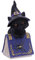 Nemesis Now Pocus Kleine Hexen vertraute Schwarze Katze und Zauberbuch, Figur, Lila, 12,7 cm