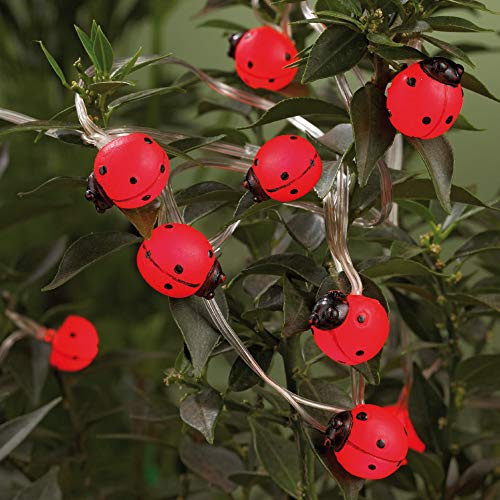 hellum Solar-LED-Lichterkette Marienkäfer, 20 rote LEDs, 380 cm Lichtlänge, Kabel transparent, Outdoor, solarbetrieben, Dekoration, 350159
