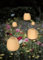 Lumix® Solar Flowers 1x Solarleuchte für Außen Garten von Krinner innenliegendes Solarpanel, IP44, Auto EIN/AUS mit RGB, Auto Change und neutralem LED Licht, Gartenleuchte Rosy 1 Stück