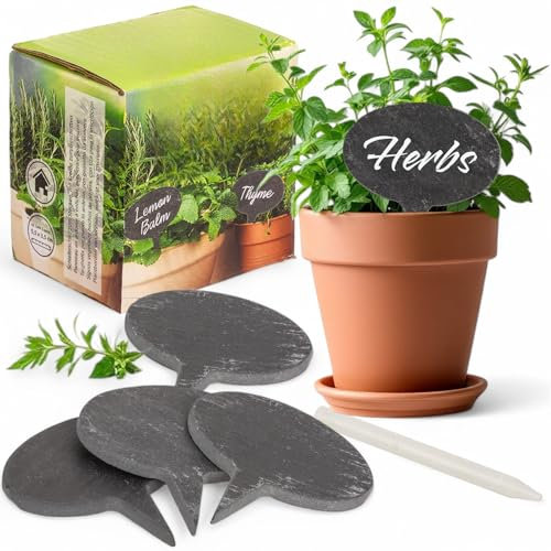 MIJOMA Pflanzenstecker aus Schiefer – Pflanzenschilder zum Beschriften – Wiederverwendbare Gartendeko, Wetterfest & Robust (4 Stück Oval (5,5 x 3,5 cm))