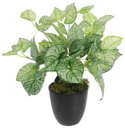 Leaf Design UK Realistic Artificial Foliage Plant with Pot, 40cm, Caladium