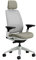 Steelcase Series 2 Ergonomischer Bürostuhl mit LiveBack Lumbalstütze, 4D-Armlehnen, anpassbarer Kopfstütze Trüffel