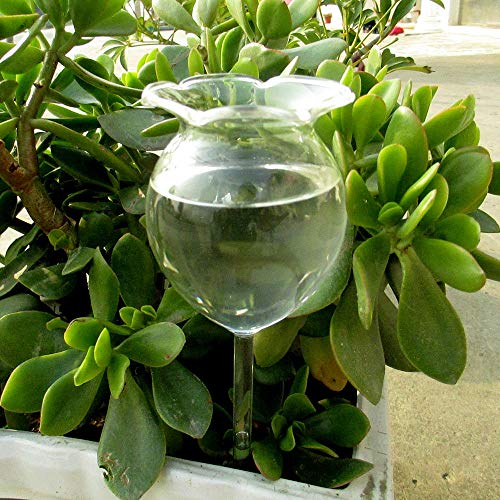 Pflanzenbewässerung Selbstbewässerung Pfähle Automatische Bewässerung Blume Garten Pflanze Bewässerungsgerät Sprinkler Pflanze Bewässerungssystem Dekorative mundgeblasene Glaskugel für Innen & Außen