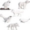 Yunchu Online 6 Pcs Meerestiere Spielzeug Arktischer Ozean Tiere Figuren Sea Animal Figure Toy mit Polarwolf Fuchs Robbe Beluga Schneeeule Eisbären Meeresleben Figuren Cupcake Kuchen Topper