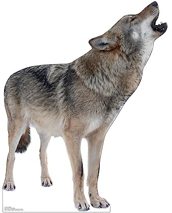 Cardboard People Pappaufsteller Heulender Wolf | Hergestellt in den USA, 104,1 x 81,3 cm, einseitiger Druck, Staffelei Rückseite im Lieferumfang enthalten