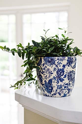 Ivyline Monza Vintage Blue Indoor Planter, D17.5cm, One Size, Blue