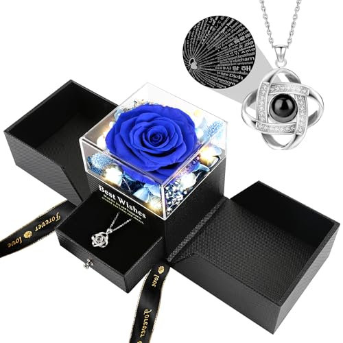 FAYODO Ewige Rose mit Ich Liebe Dich Halskette Damen,Echte Konservierte Blumen Rosenbox Geschenke für Frauen Mama Frau Valentinstag Muttertag Geburtstags Jubiläum (Blau)