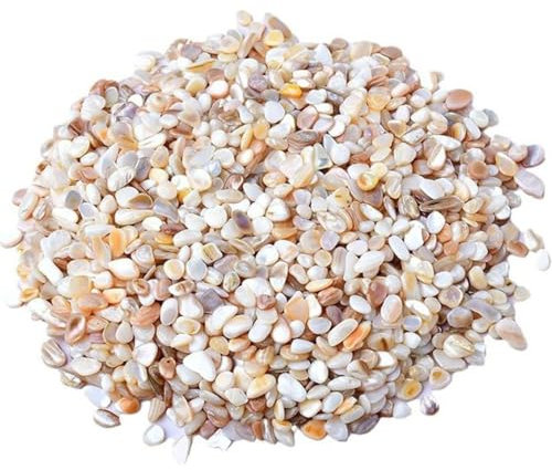 Ciottoli di ghiaia a conchiglia naturale, 1,1 libbre di ghiaia decorativa for acquario, ciottoli di fiume, pietre for riempitivo di vasi, vasi for piante, paesaggistica, acquari, casa e giardino(3-5mm