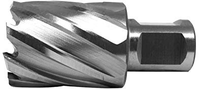 PAULIMOT HSS-Kernbohrer mit Bohrtiefe 30 mm, Ø 30 mm