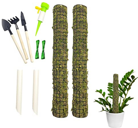 Asta rampicante per piante Monstera | Palo autoirrigante impilabile per piante da interno | Pali di muschio di sfagno per monstera, rampicante, pianta ragno, edera, mirtillo, vite