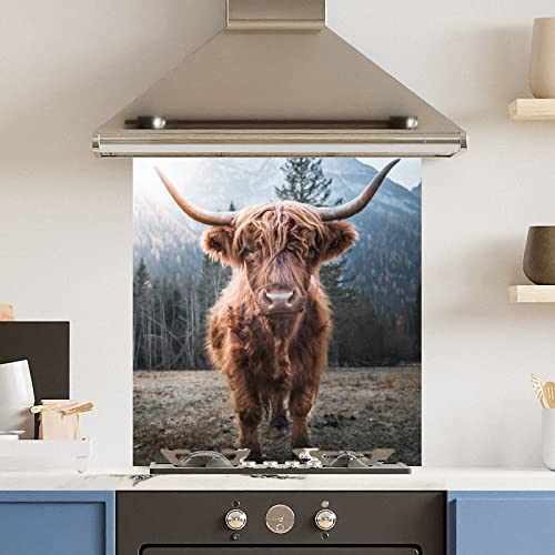 Premium 70 cm x 75 cm Highland Cow Glass 6mm Kitchen Splashback Heat Resistant Toughened Polished Edges - Back Splash Back Coloured Hob Painted Tempered Splashback